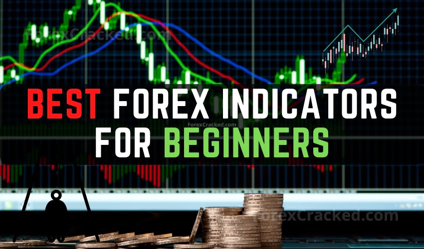 Forex Trading Platforms to Get Excited About in 2024