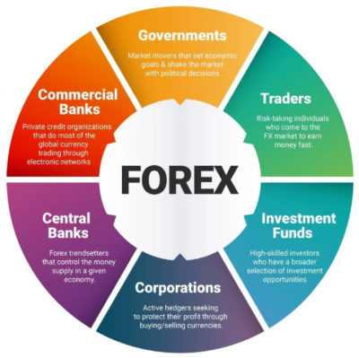 FP Markets | Forex Broker - FX PrimeCashBack